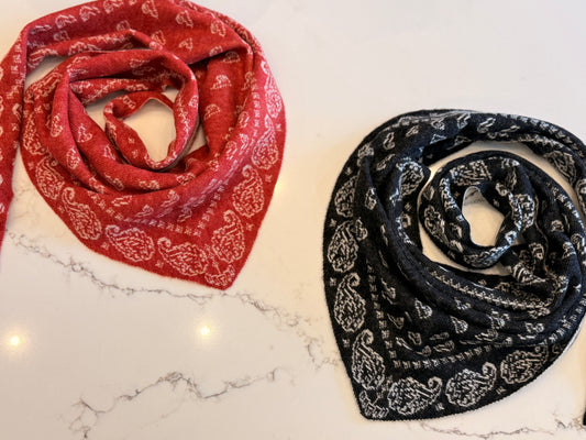Cashmere patterned triangle Scarf